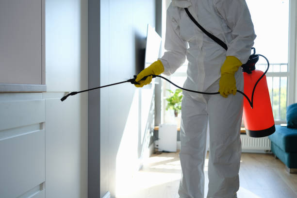 Best Residential Mold Remediation in Cheviot, OH