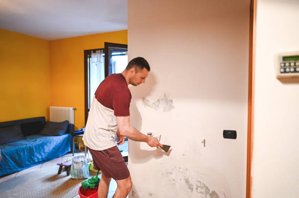Best Black Mold Remediation in Cheviot, OH